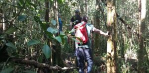 Kalimantan Wildlife Tour