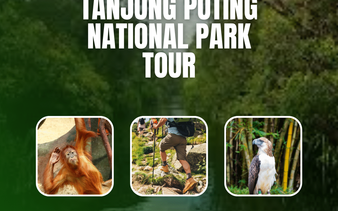 Tanjung Puting National Park tour
