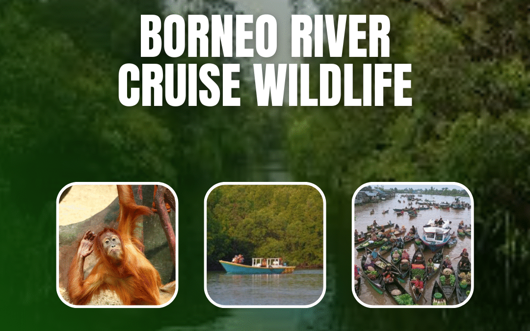 Borneo River Cruise Wildlife