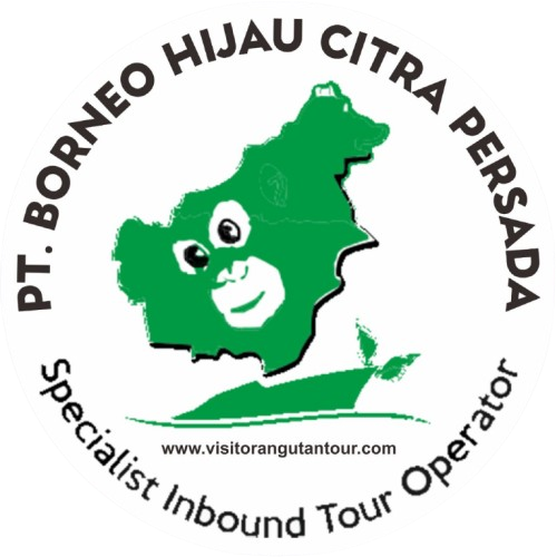 Logo Lelyya Rent Car Semarang