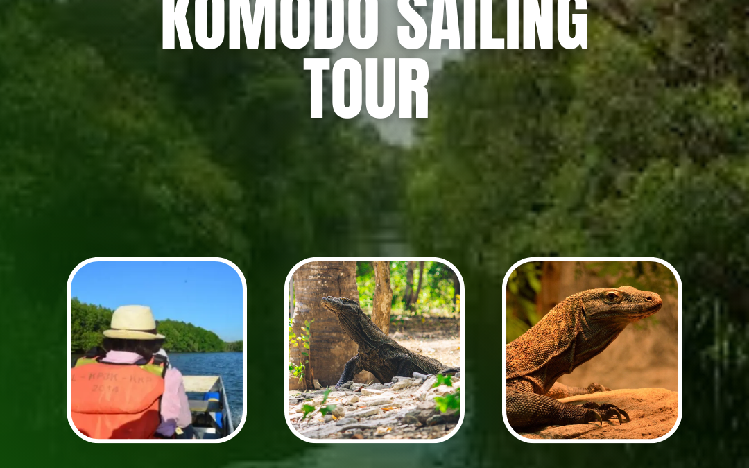 Komodo Sailing Tour